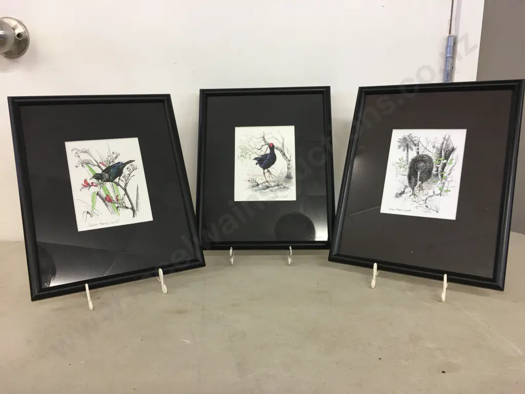 Framed Artwork x3 By Jayne Maria Sprott Of Tui, Pukeko & Kiwi Image 1++