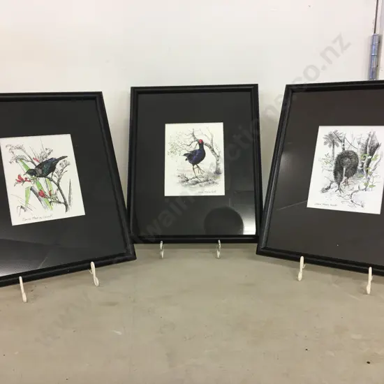 Framed Artwork x3 By Jayne Maria Sprott Of Tui, Pukeko & Kiwi