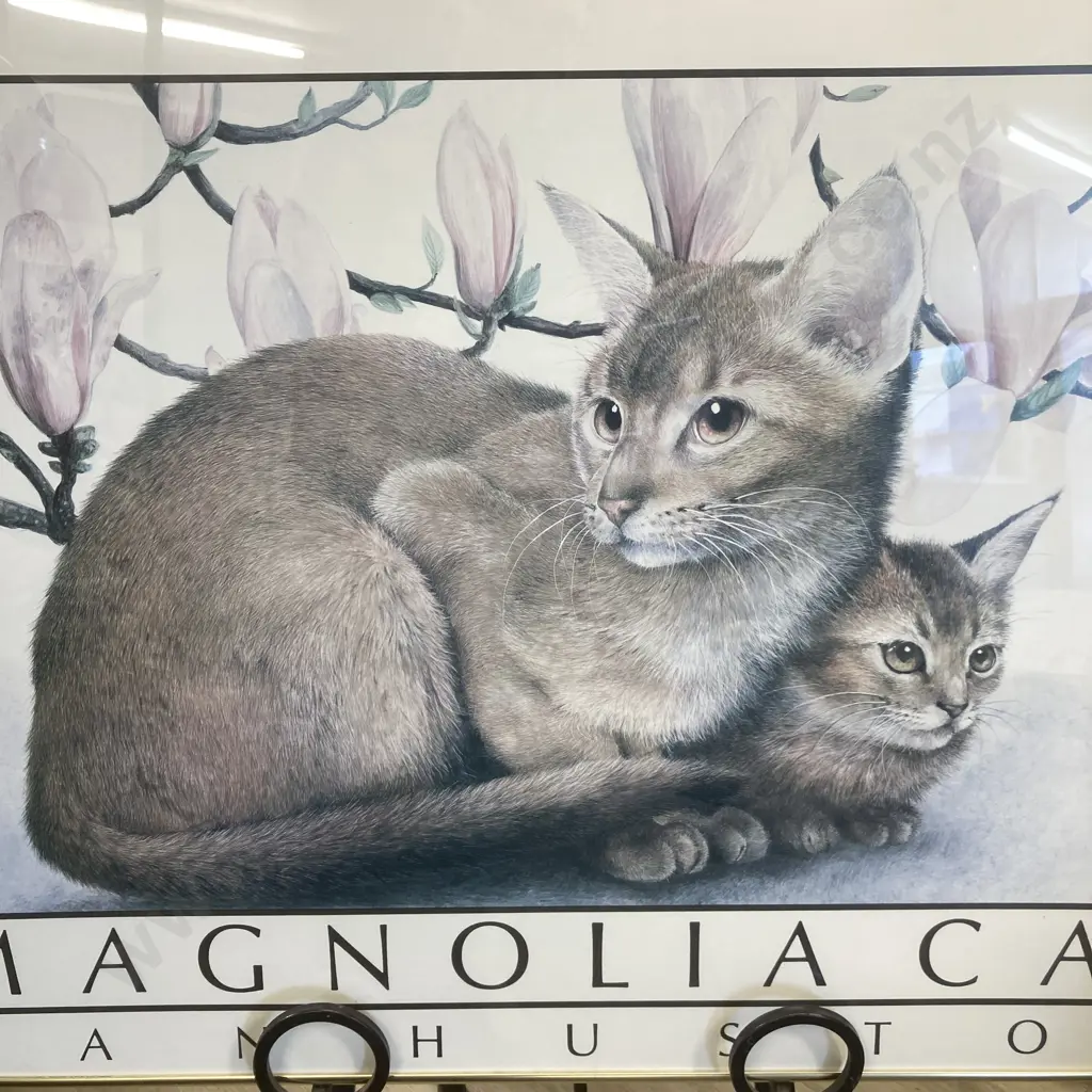 Large Vintage Magnolia Cat Jan Houston Glazed Framed Art Print. 60 x 89cm Image 1++