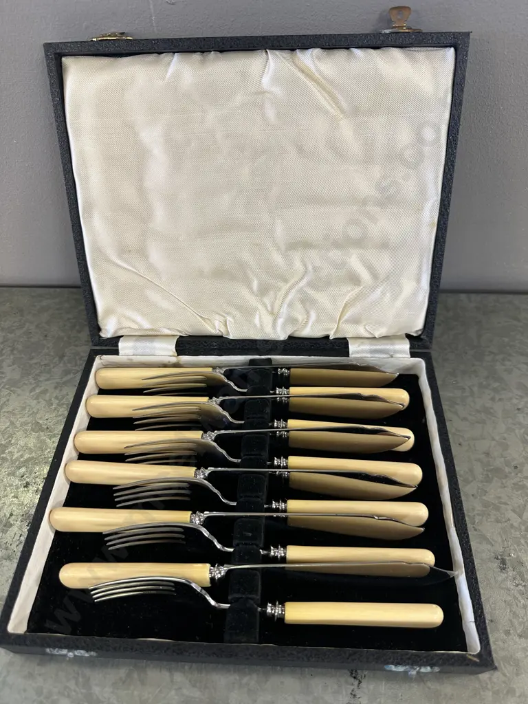 Vintage Boxed Fish Cutlery Set Boned Handled Knives Image 1++