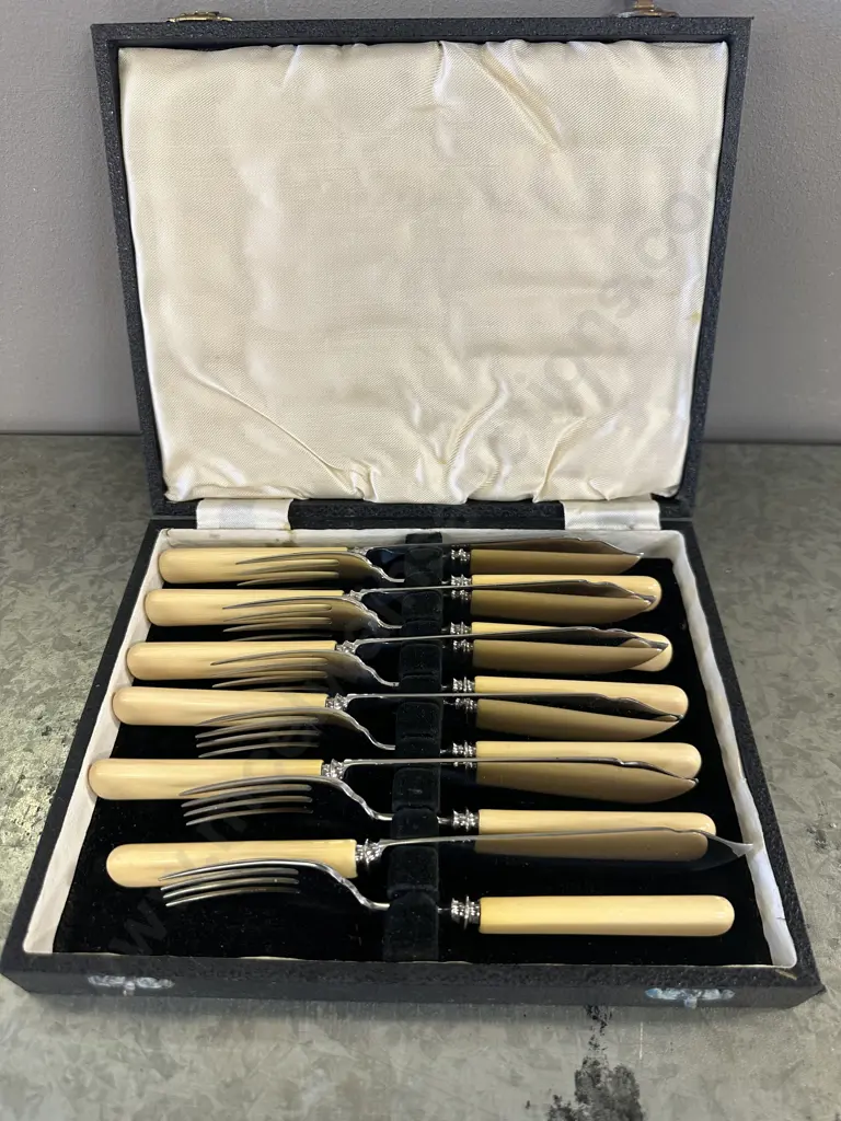 Vintage Boxed Fish Cutlery Set Boned Handled Knives Image 1++