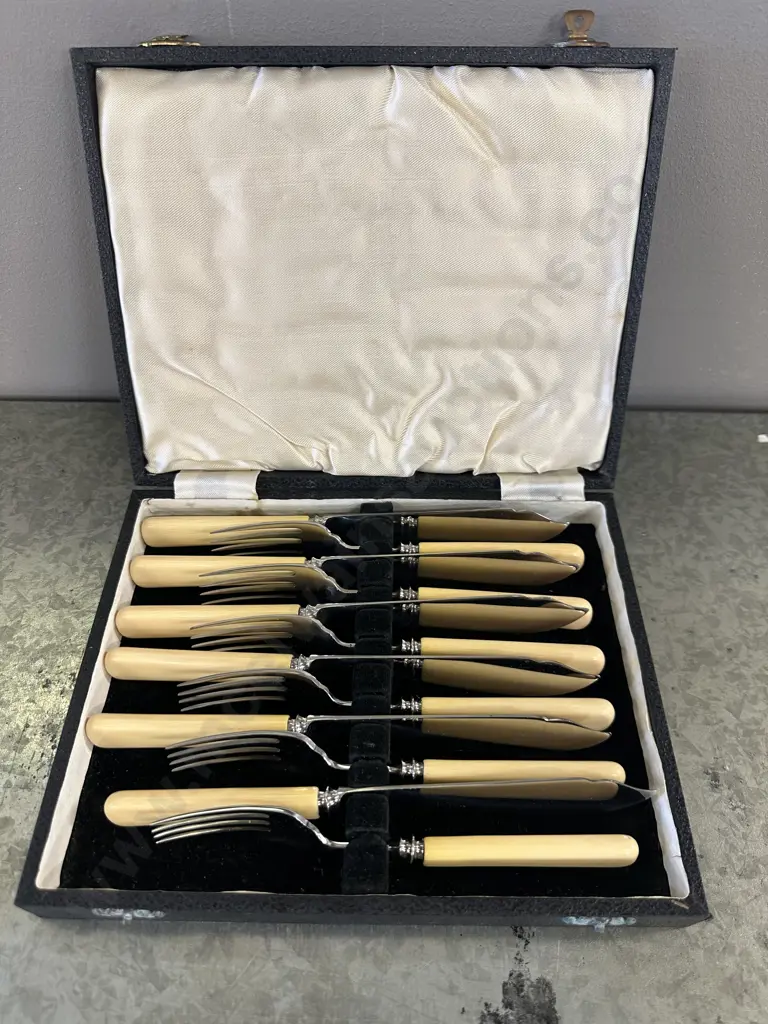 Vintage Boxed Fish Cutlery Set Boned Handled Knives Image 1++