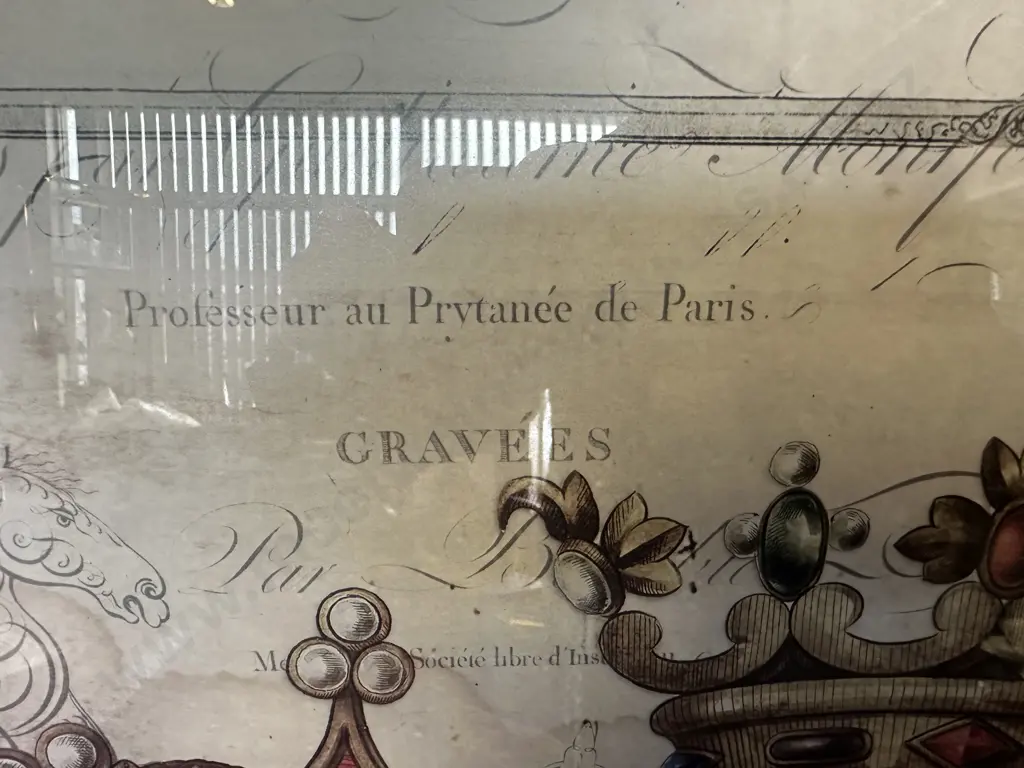 Framed Artwork Professeur au Prvtance' de Paris H55,W79cm. Image 1++
