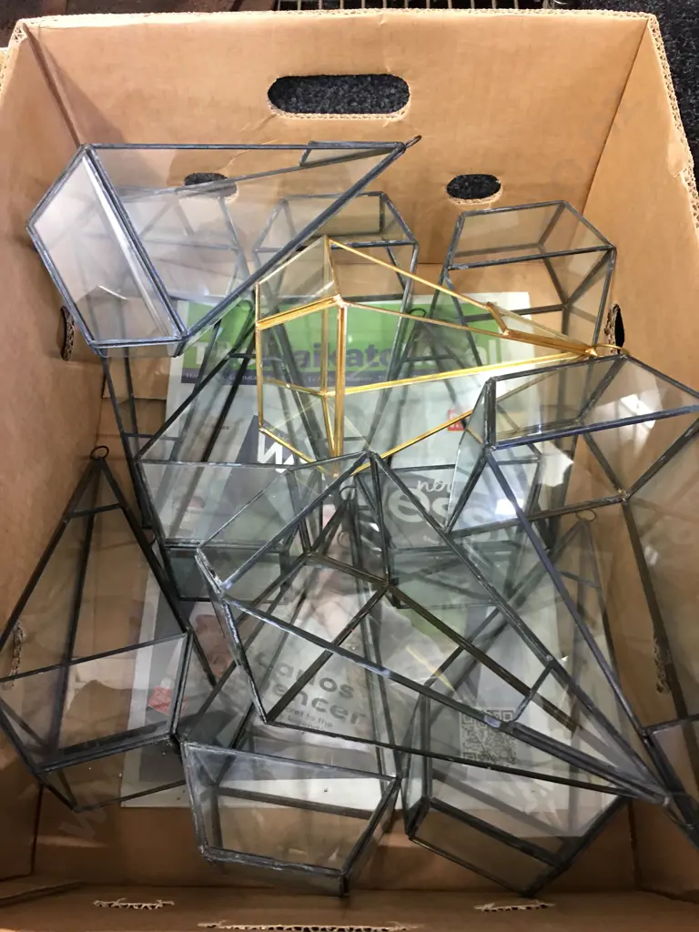 Assorted Hanging Glass Terrariums Image 1++