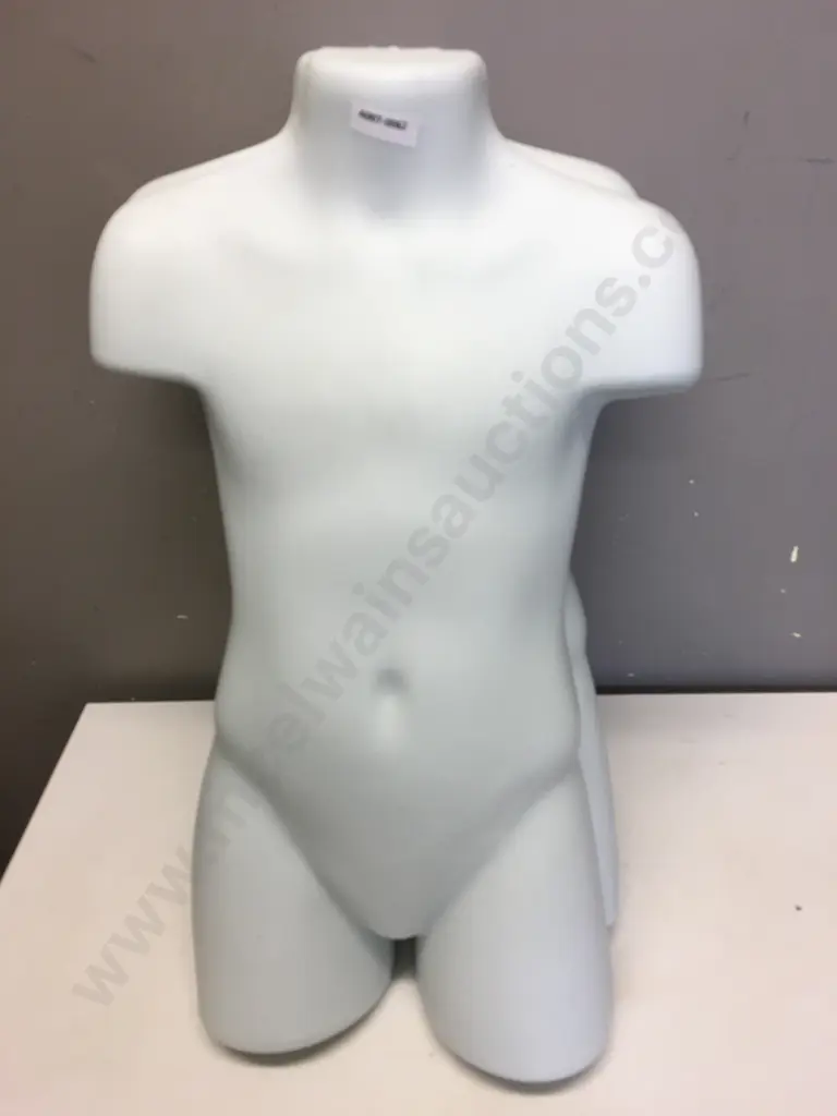 Lot of 10 x Kid Mannequin Torsos - White Image 1++