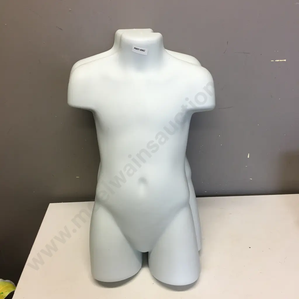 Lot of 10 x Kid Mannequin Torsos - White Image 1++