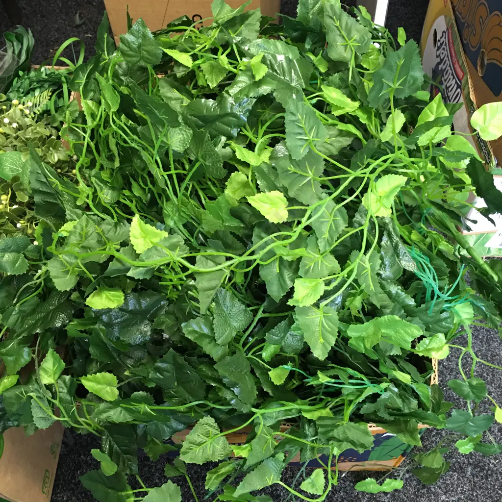 Box Lot Faux Ivy Image 1++
