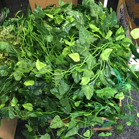 Box Lot Faux Ivy