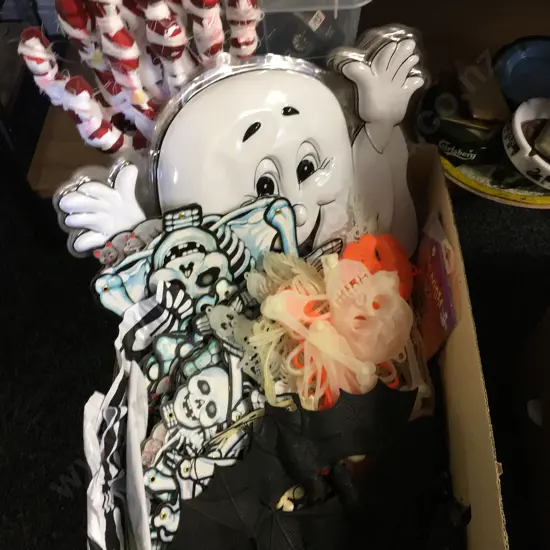 Box Lot Assorted Halloween Items