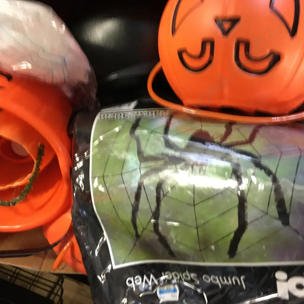 Box Lot Assorted Halloween Items Image 1++