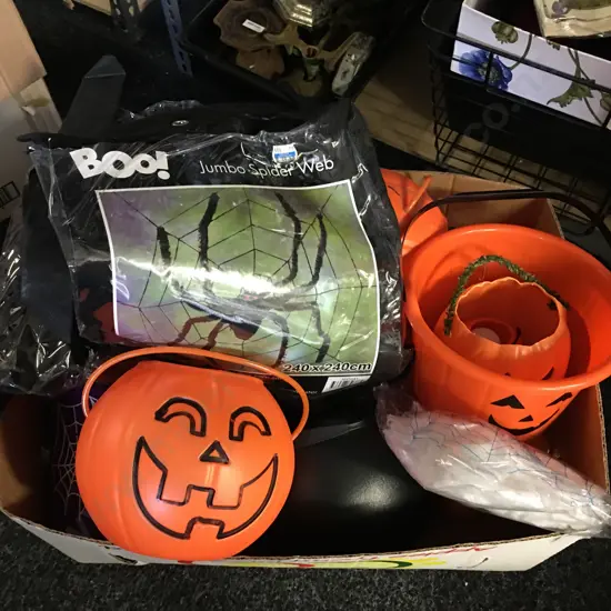 Box Lot Assorted Halloween Items