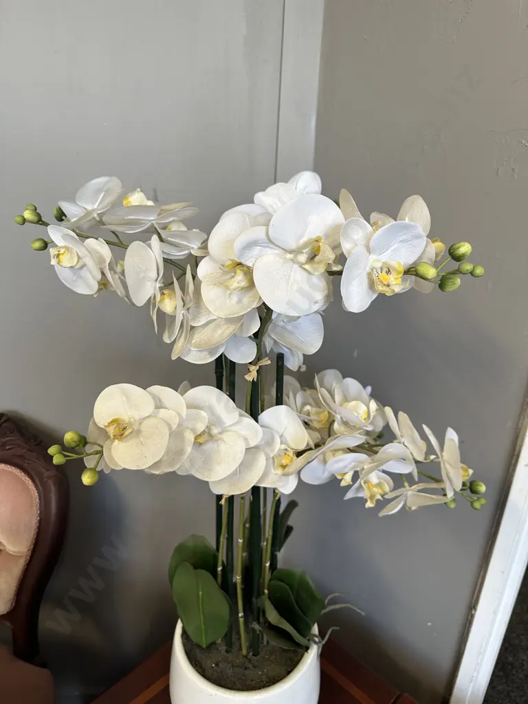 Faux Orchid In White Pot. H76cm Image 1++