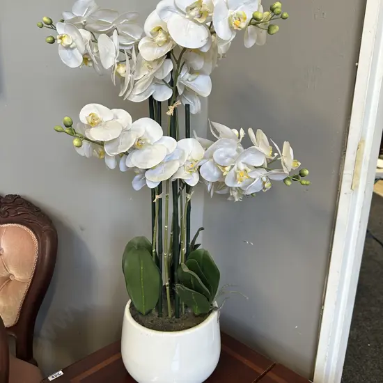 Faux Orchid In White Pot. H76cm
