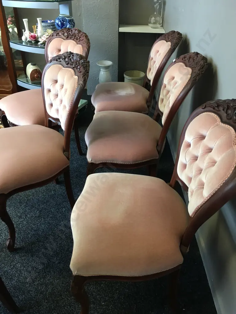 Set of 6 Queen Anne Mahogany Dining Chairs, Pink Draylon Upholstered Button Backed Image 1++