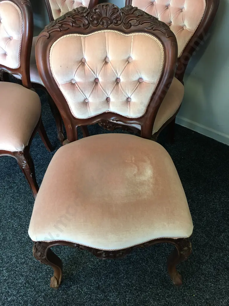 Set of 6 Queen Anne Mahogany Dining Chairs, Pink Draylon Upholstered Button Backed Image 1++