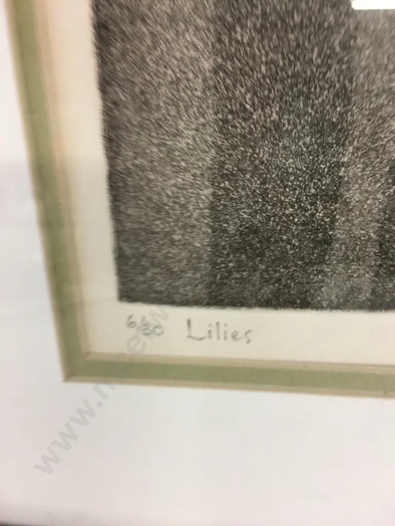 Framed Artwork 'Lillies' 6/30 By Mary deLisle H42,W48cm. Image 1++