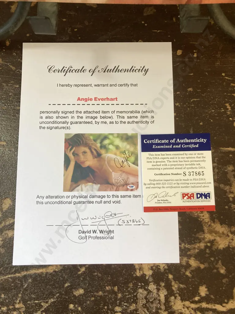 Angie Everhart Autographed 20 x 26cm Colour Photograph With Authentication PSA/DNA S37865 Image 1++