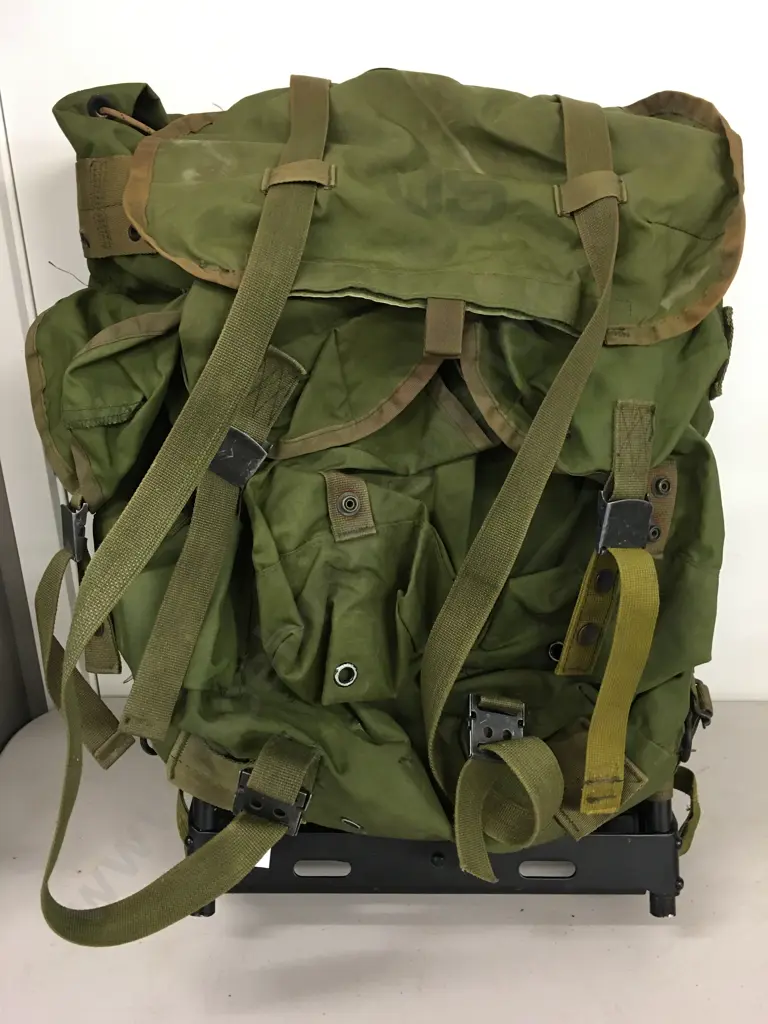 US Medium Alice Pack Military Rucksack With Frame & Belt - Green Image 1++