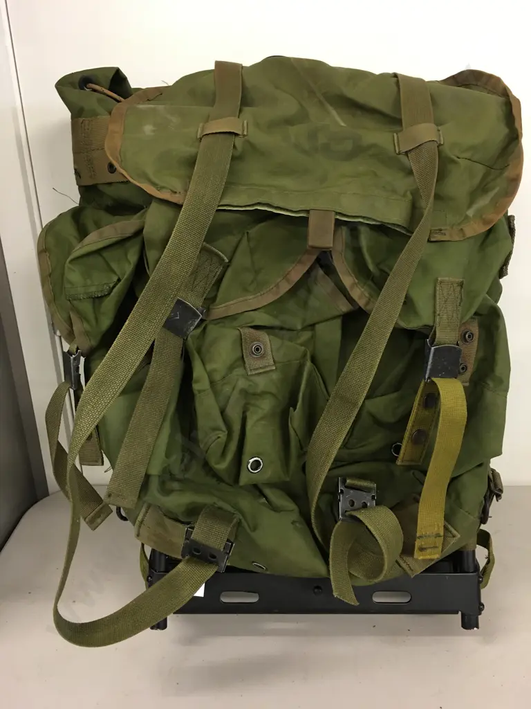 US Medium Alice Pack Military Rucksack With Frame & Belt - Green Image 1++