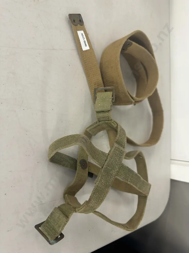 WW2 Canadian Pattern 1919/25 Canteen Carrier & Strap - ZL&T ( Zephyr Loom & Textile) Dated 1942 Image 1++