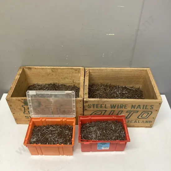 Assorted Nails (Sold with 21)