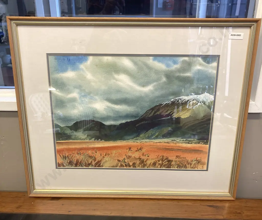 Frank Forster Watercolour "Near Arthur's Pass" Signed & Singed Bio On Back. 43 x 53cm Glazed Framed Image 1++