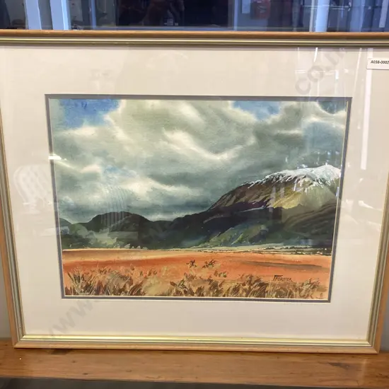 Frank Forster Watercolour "Near Arthur's Pass" Signed & Singed Bio On Back. 43 x 53cm Glazed Framed