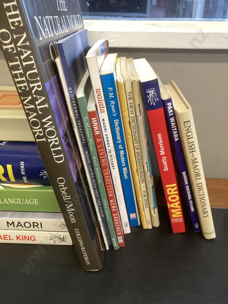 Maori Books, Dictionaries, Micheal King, Songs Etc Image 1++
