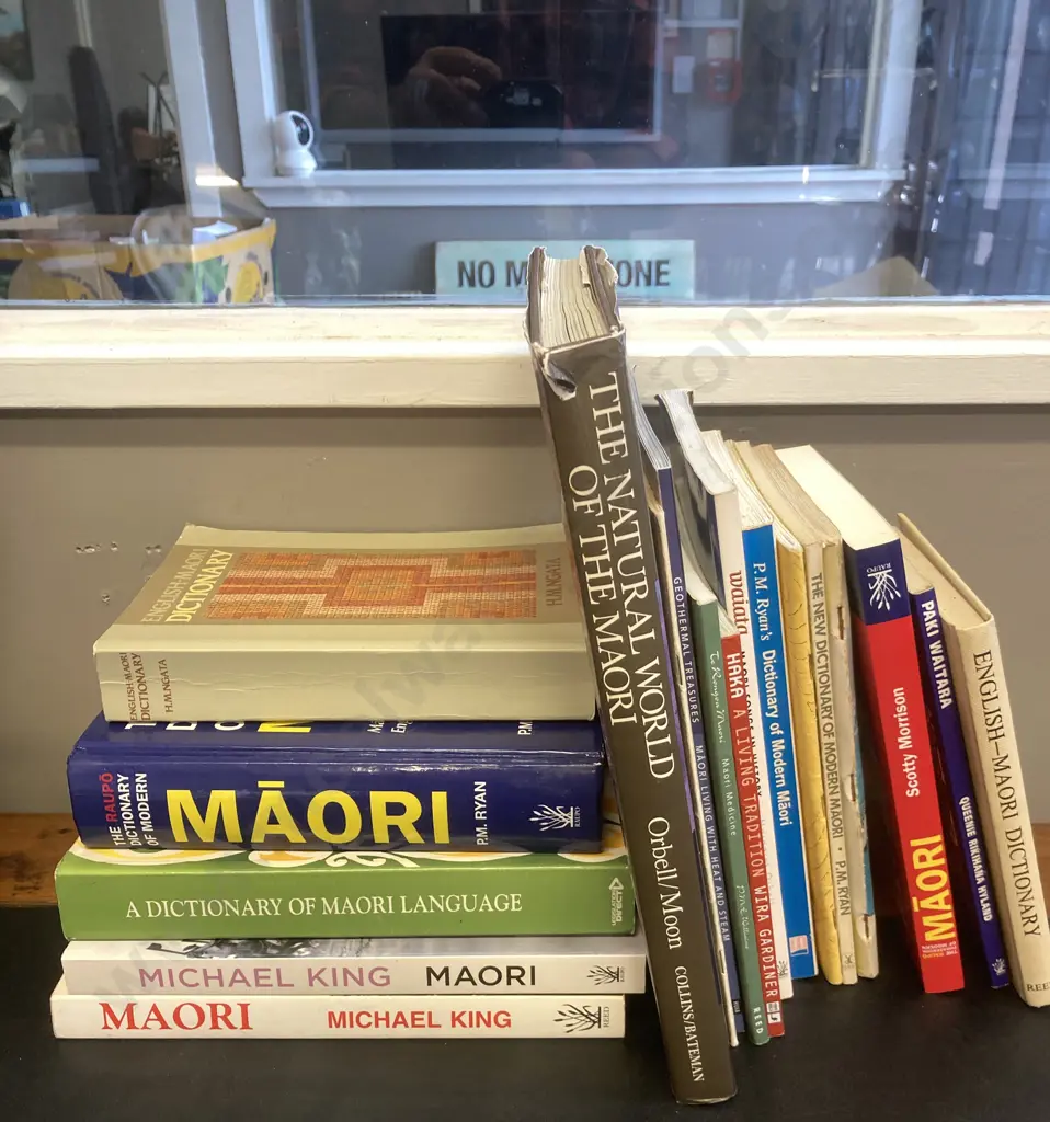 Maori Books, Dictionaries, Micheal King, Songs Etc Image 1++