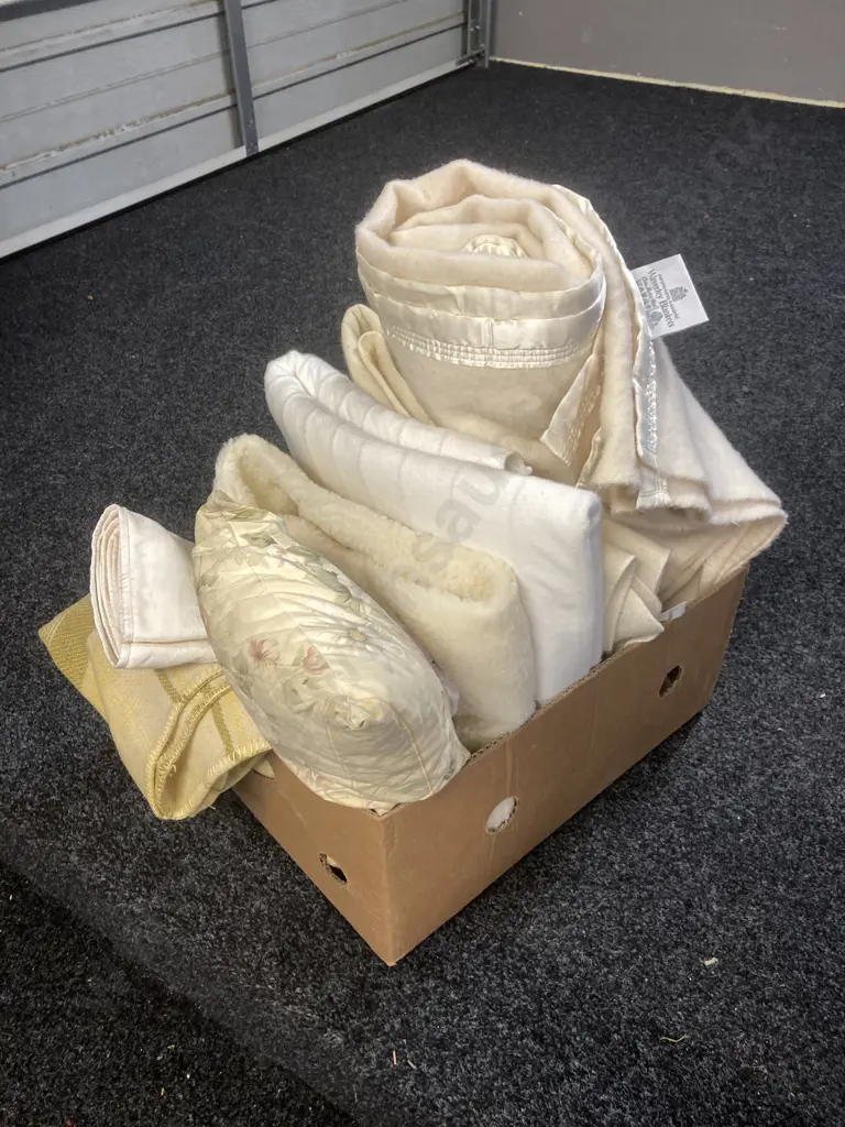 Box Lot - King Single Mattress Protector, Vintage Waverley Pure Wool Blanket, Cushion Etc Image 1++