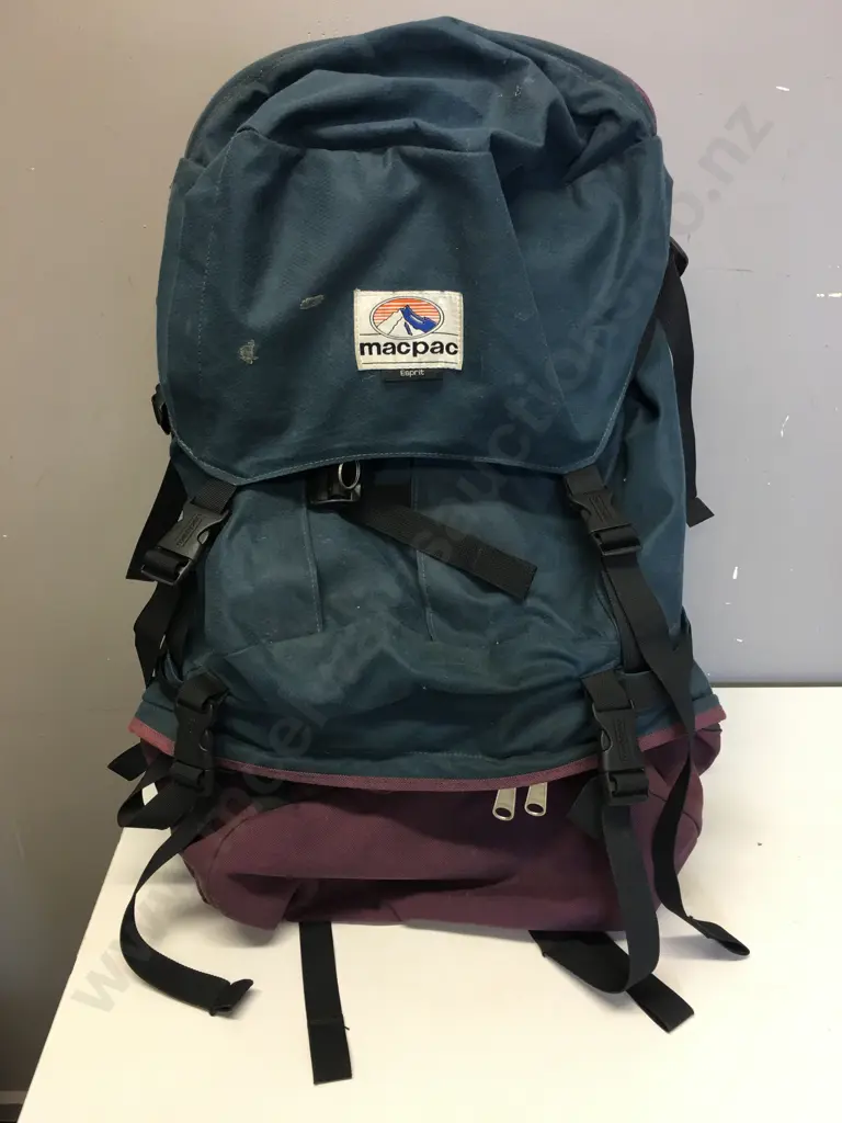 Macpac Esprit Back Pack Purple & Blue Image 1++
