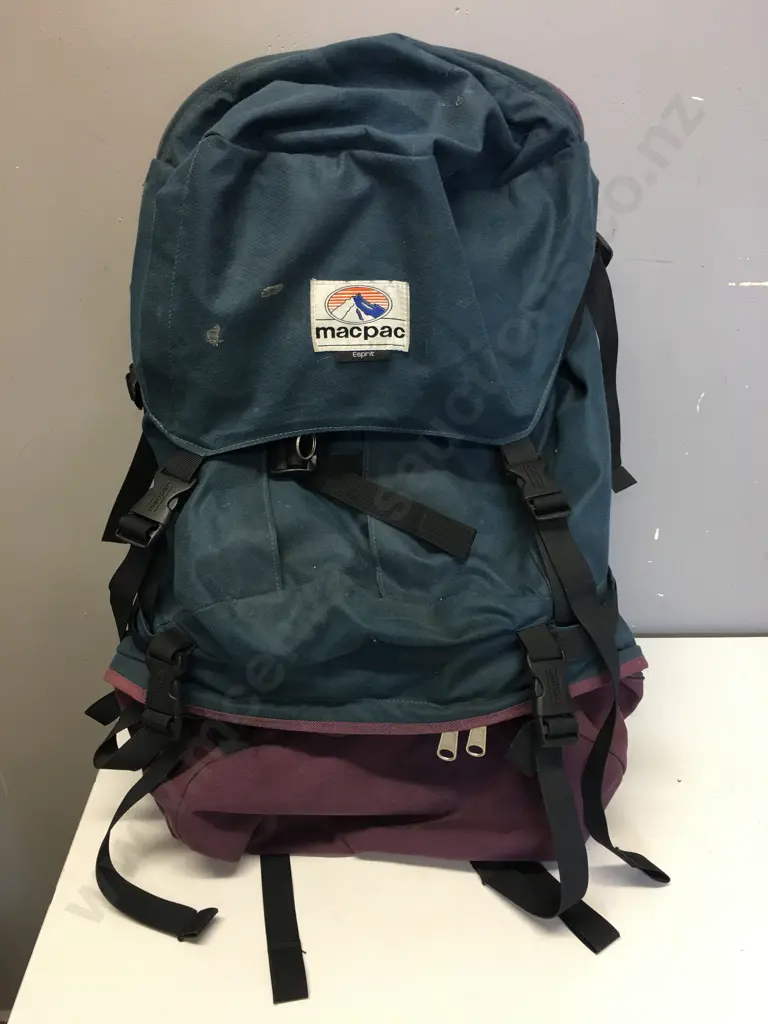 Macpac Esprit Back Pack Purple & Blue Image 1++