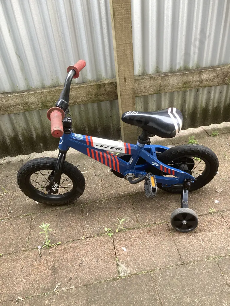 Avanti MXR Kids Bike With Training Wheels Image 1++