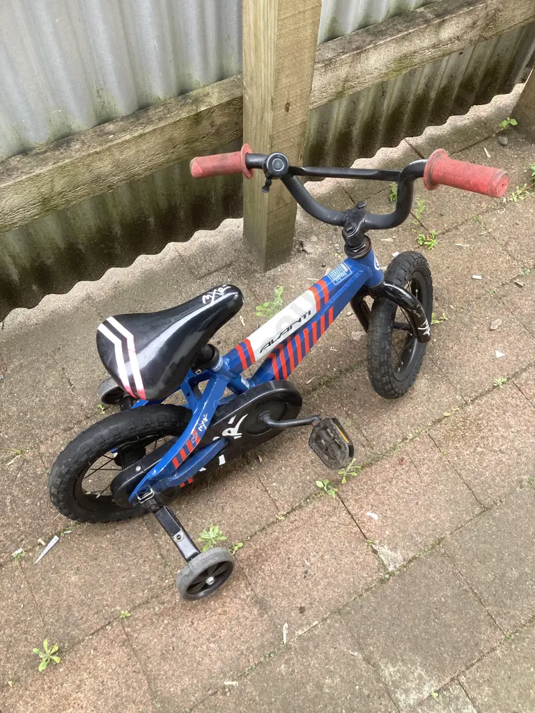Avanti MXR Kids Bike With Training Wheels Image 1++