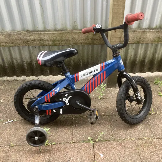 Avanti MXR Kids Bike With Training Wheels