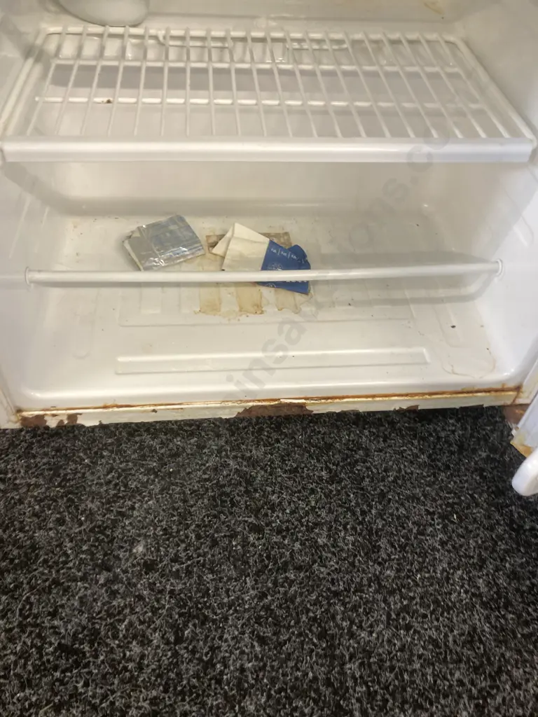 Samsung SRG-148 Fridge Image 1++