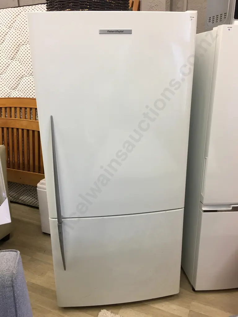 Fisher & Paykel E522B 510 Litre Active Smart Fridge Freezer, #AAQ795185 Image 1++