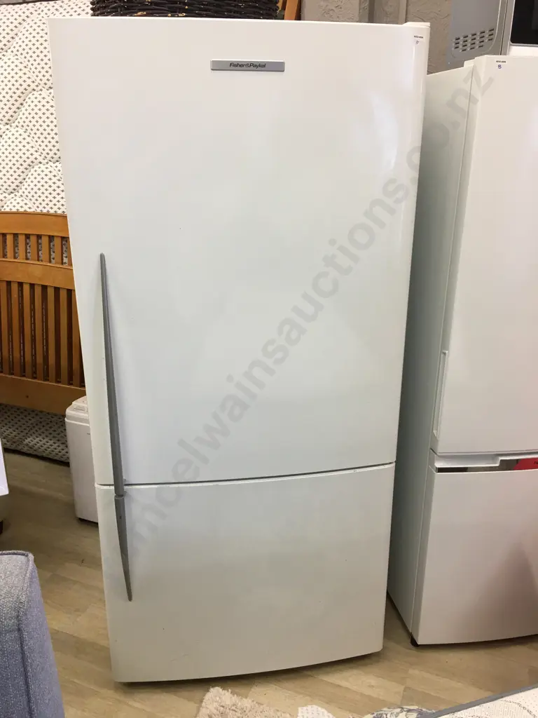 Fisher & Paykel E522B 510 Litre Active Smart Fridge Freezer, #AAQ795185 Image 1++