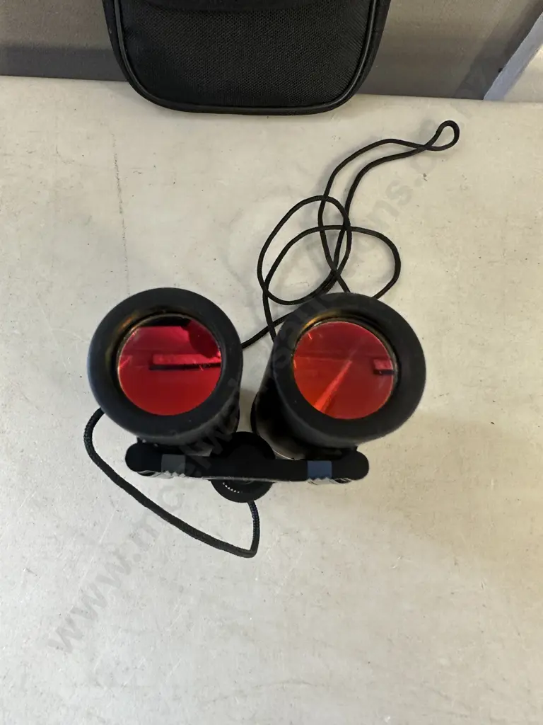 Tasco Sonoma 8x21 Binoculars In Case Image 1++