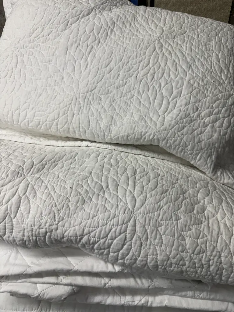 King Single Linen Including Coverlet, Pillow, Mattress Protector Etc Image 1++