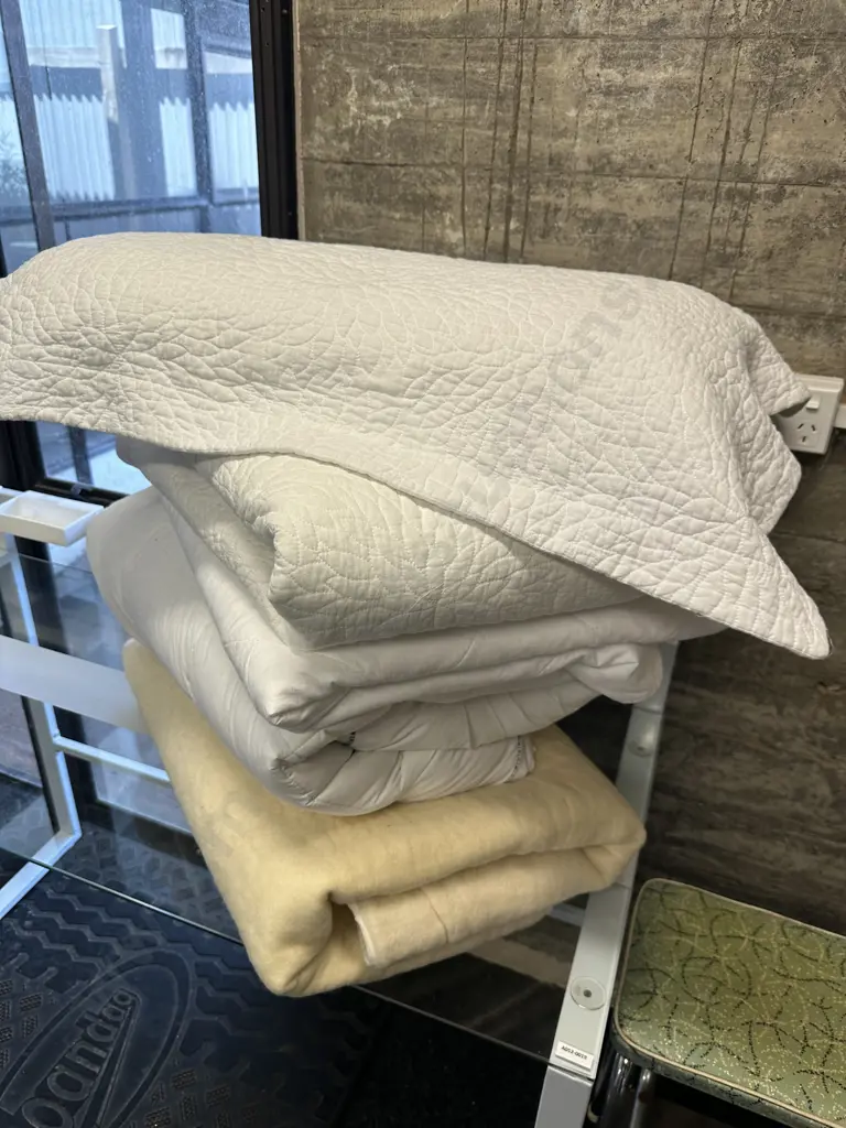 King Single Linen Including Coverlet, Pillow, Mattress Protector Etc Image 1++