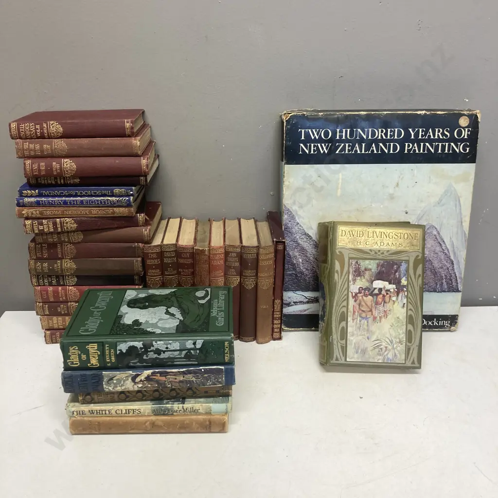 Antique & Vintage Books - David Livingstone: The Weaver Boy Who Became a Missionary by H.G.Adams. 1909 Etc Image 1++