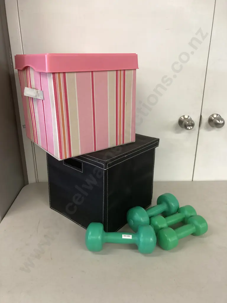 Black & Pink Lidded Storage Cubes & 2 Pairs Of Dumbbells Image 1++