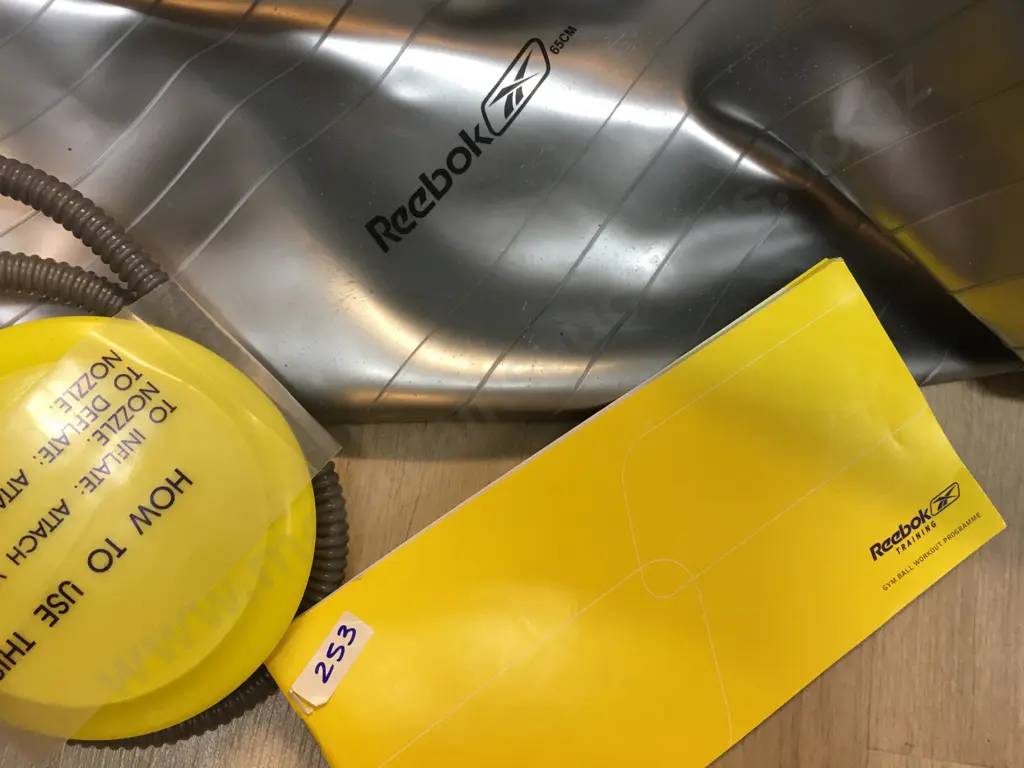 Reebok 65cm Gym Ball With Workout Programme & Pump Image 1++