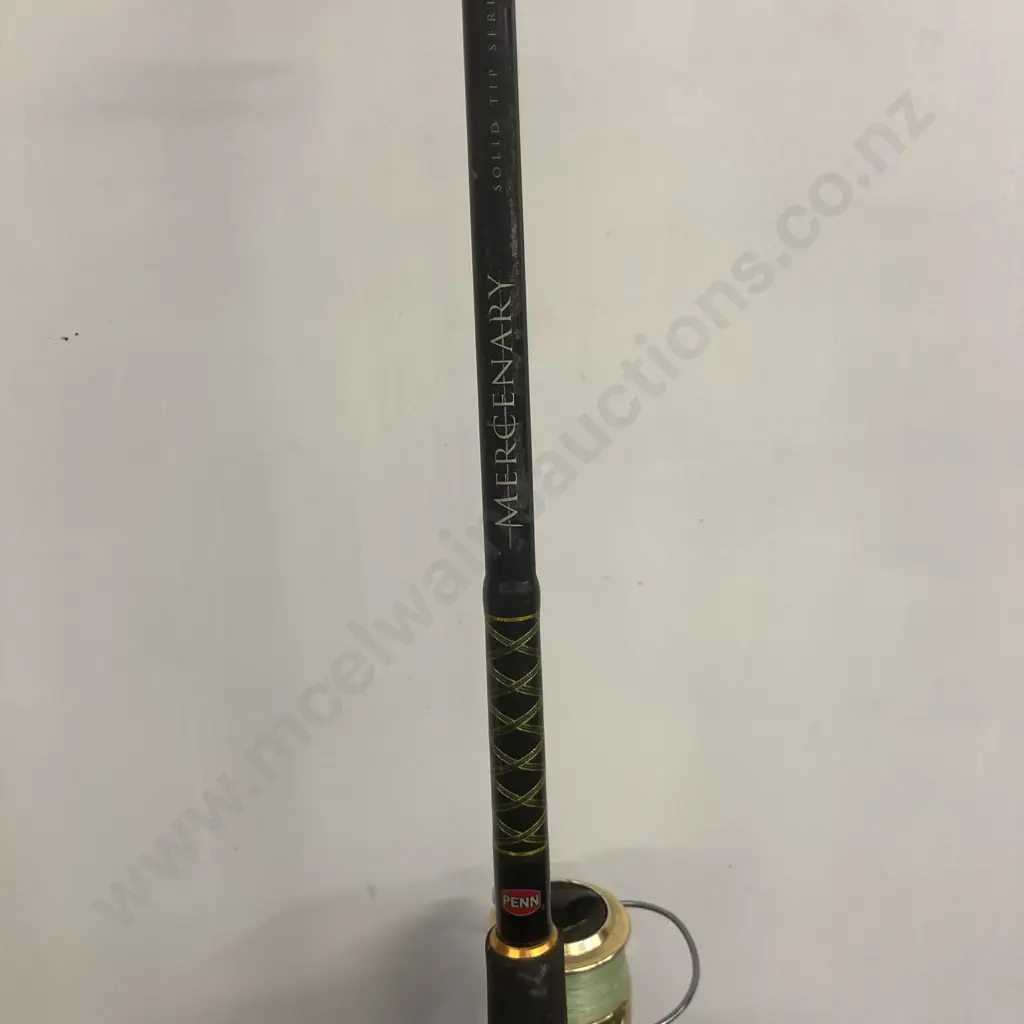 PENN Mercenary 750SW Reel (4+1 Bearing System) With 6'6" 2Pce 6-10Kg PENN Solid Tip Series Rod Image 1++