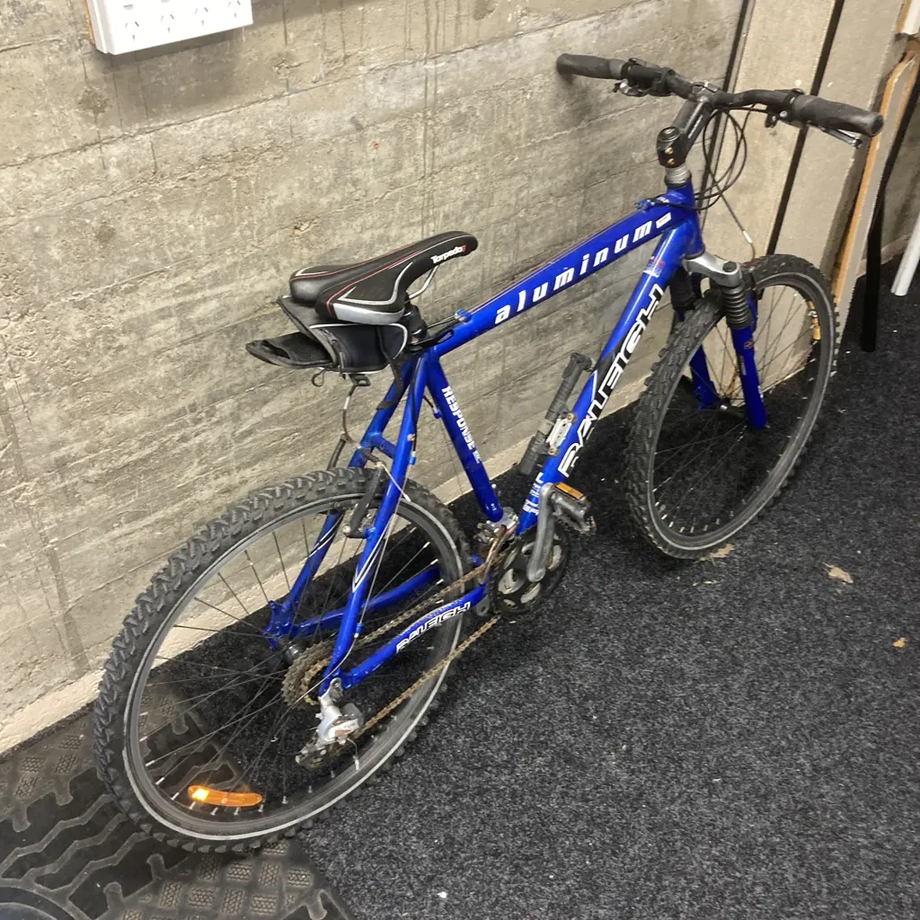 Blue Raleigh Response Mountain Bike Image 1++