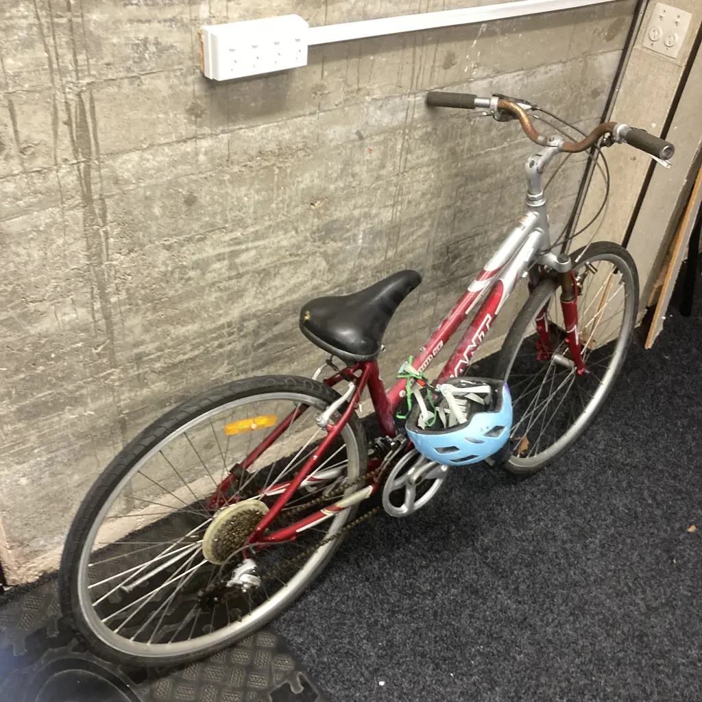 Giant Elwood SE Ladies Bike - Burgundy / Silver With helmet Image 1++