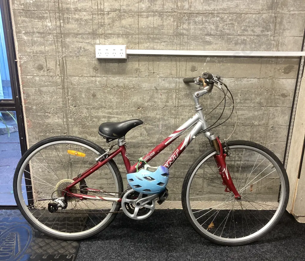 Giant Elwood SE Ladies Bike - Burgundy / Silver With helmet Image 1++