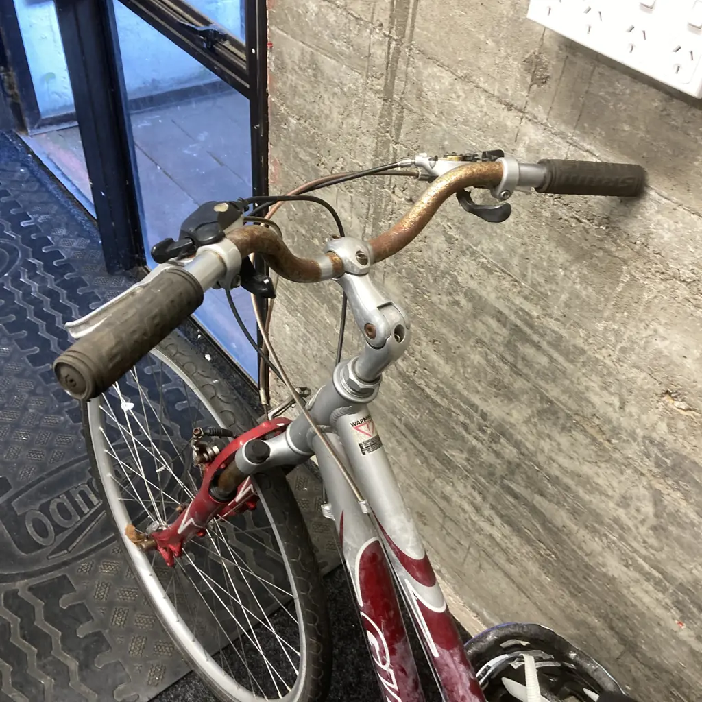Giant Elwood SE Ladies Bike - Burgundy / Silver With helmet Image 1++