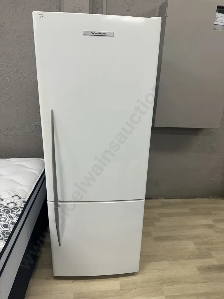 Fisher & Paykel E402B Active Smart Fridge Freezer, Serial #AlF118136 Image 1++